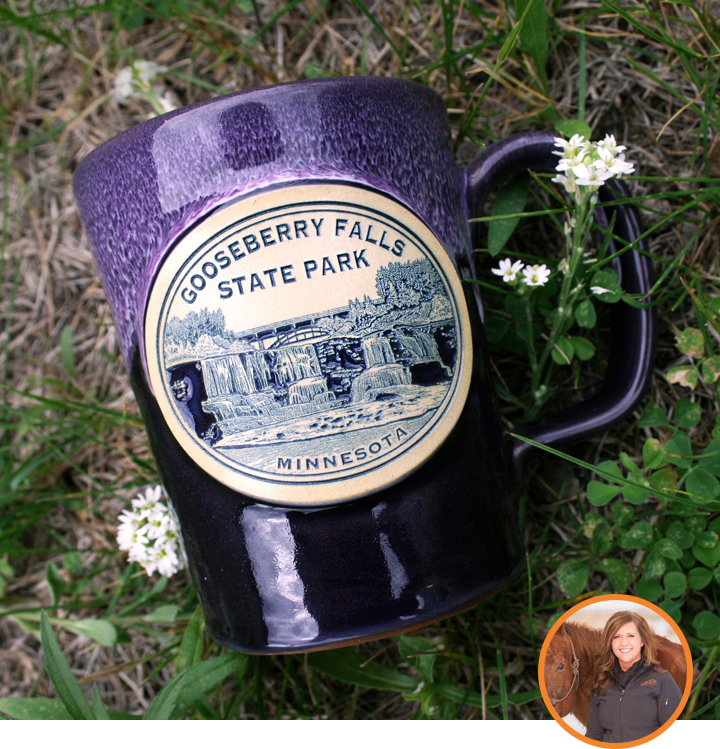 Gooseberry Falls State Park Mugs