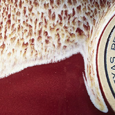 Burgundy with Dijon White