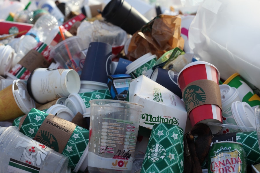 disposable cups